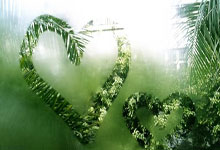 如何实现90分钟足球比分的免费调用？